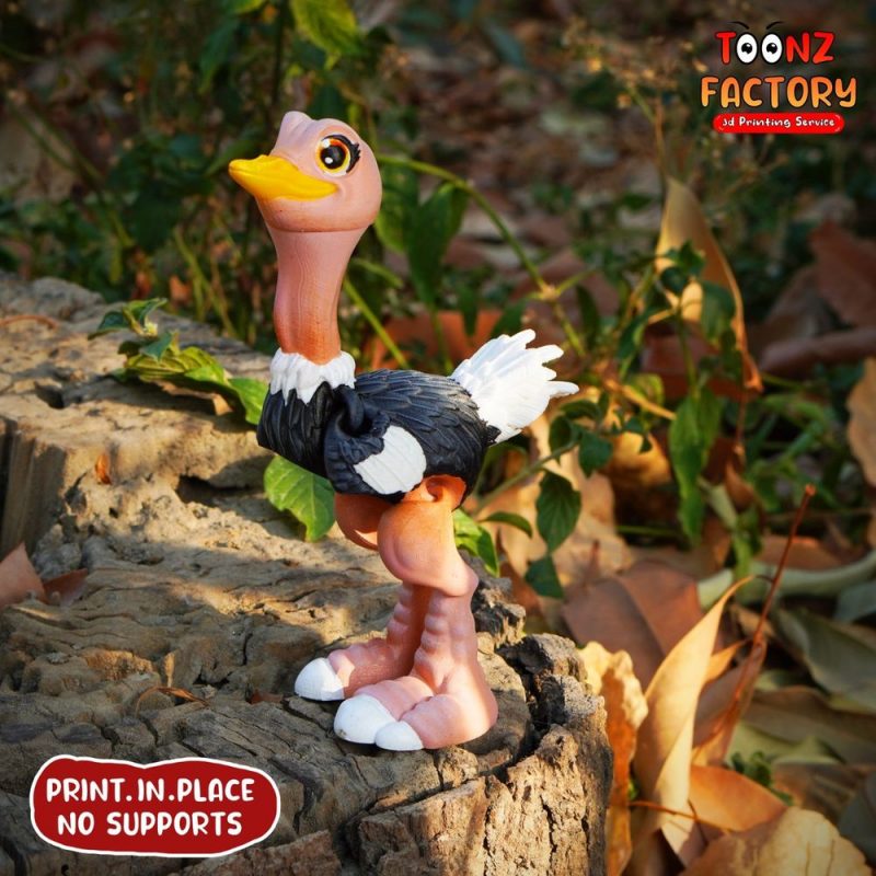 Toonz Factory 鸵鸟 FLEXI OSTRICH PACKAGE-创客之家