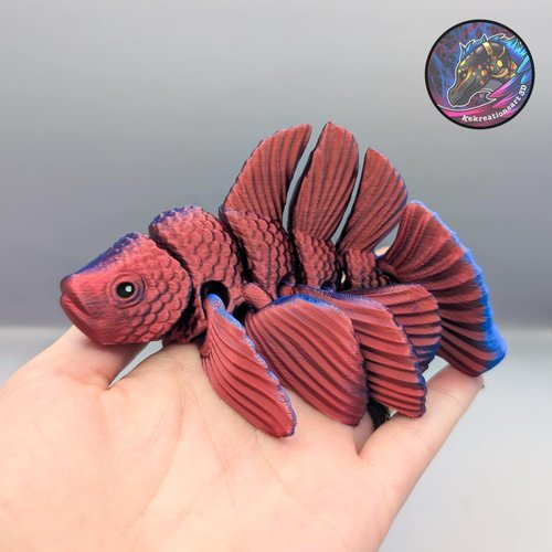 Kirsten M 斗鱼 flexi beta fish-创客之家